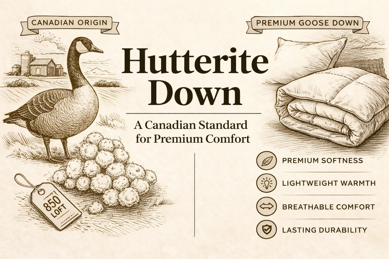 Hutterite Down: A Canadian Standard for Premium Comfort and Everyday Living