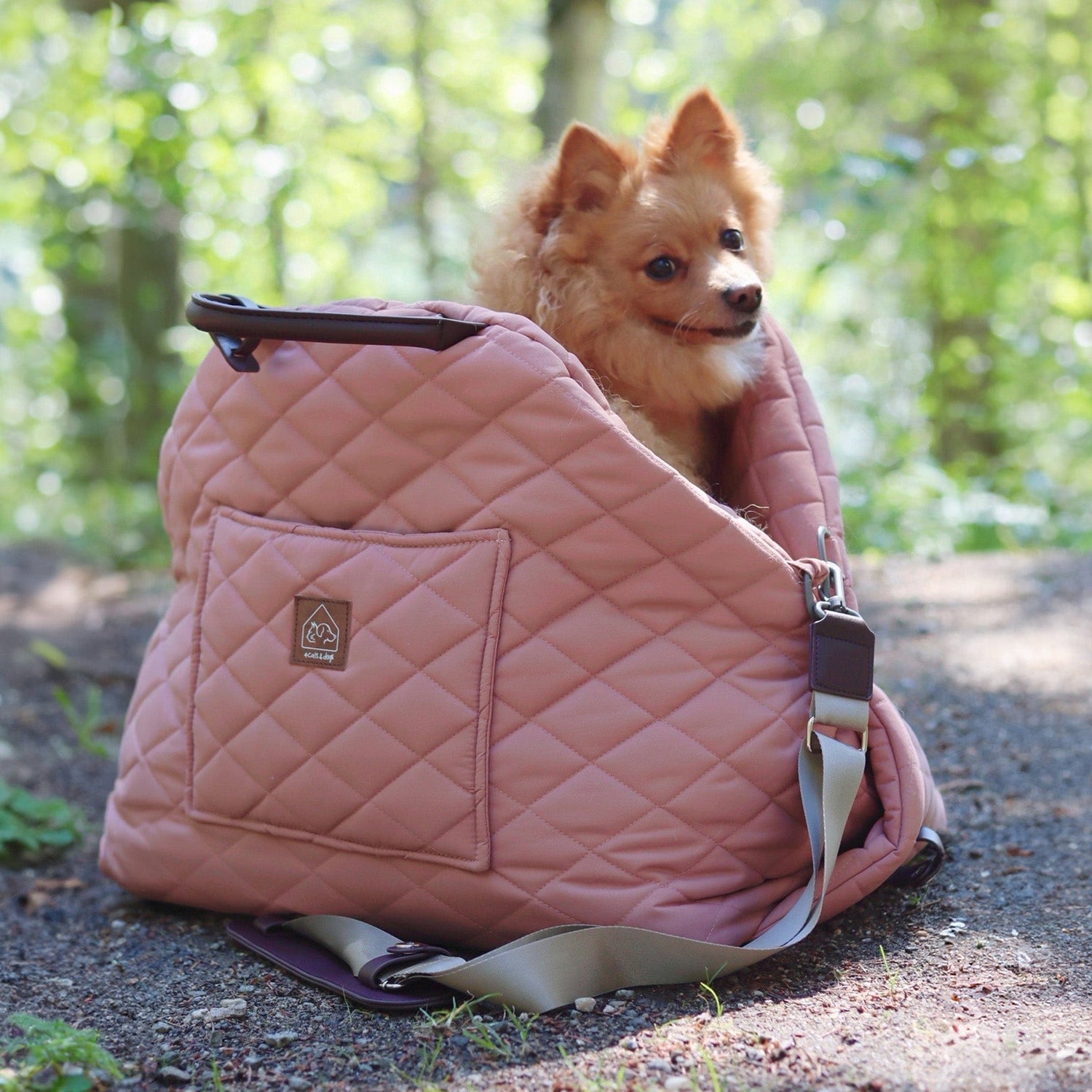 mew mew travel pet bed