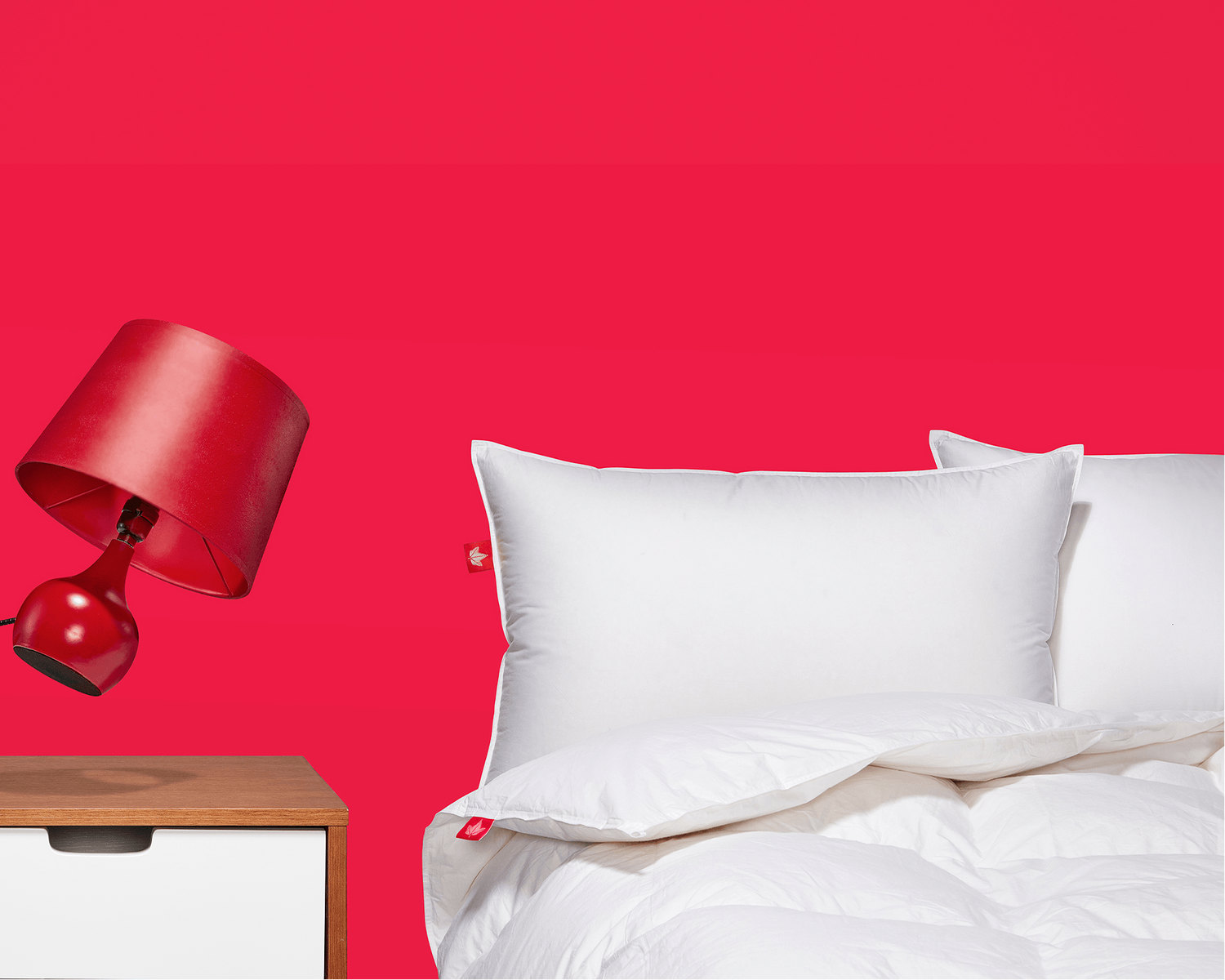 Couette en duvet d'oie Loft Hutterite 850