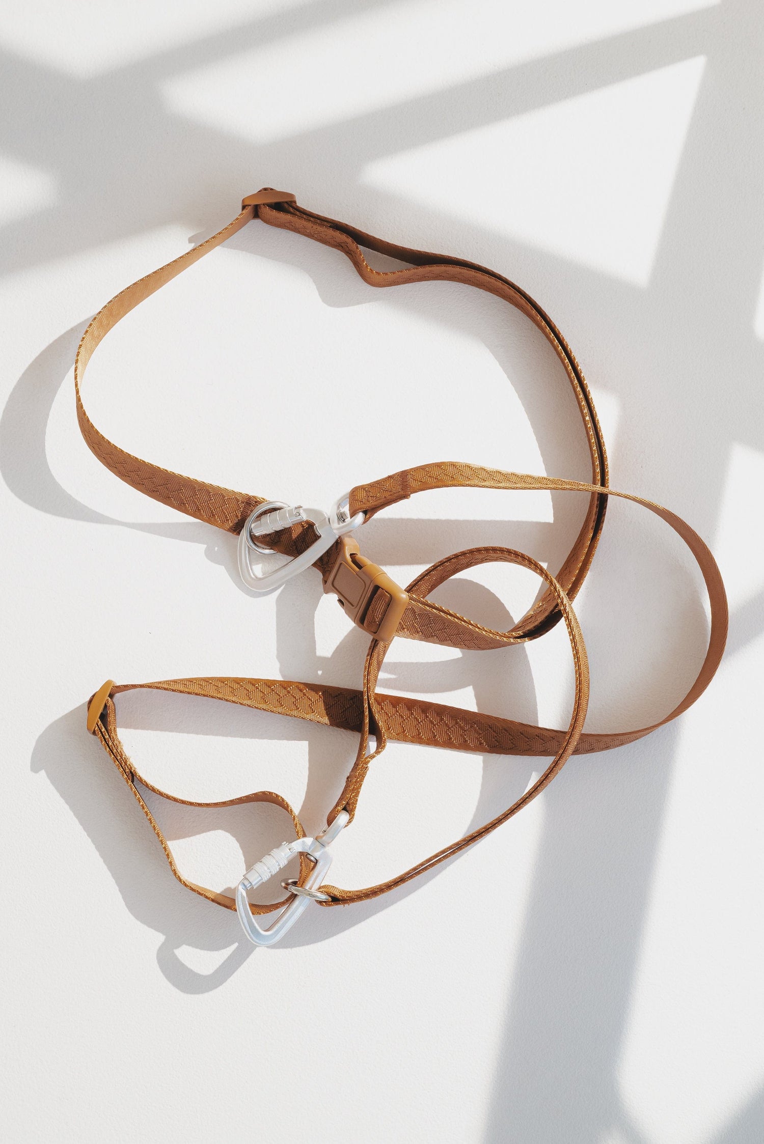 Daily Hands-Free Leash - Dulce