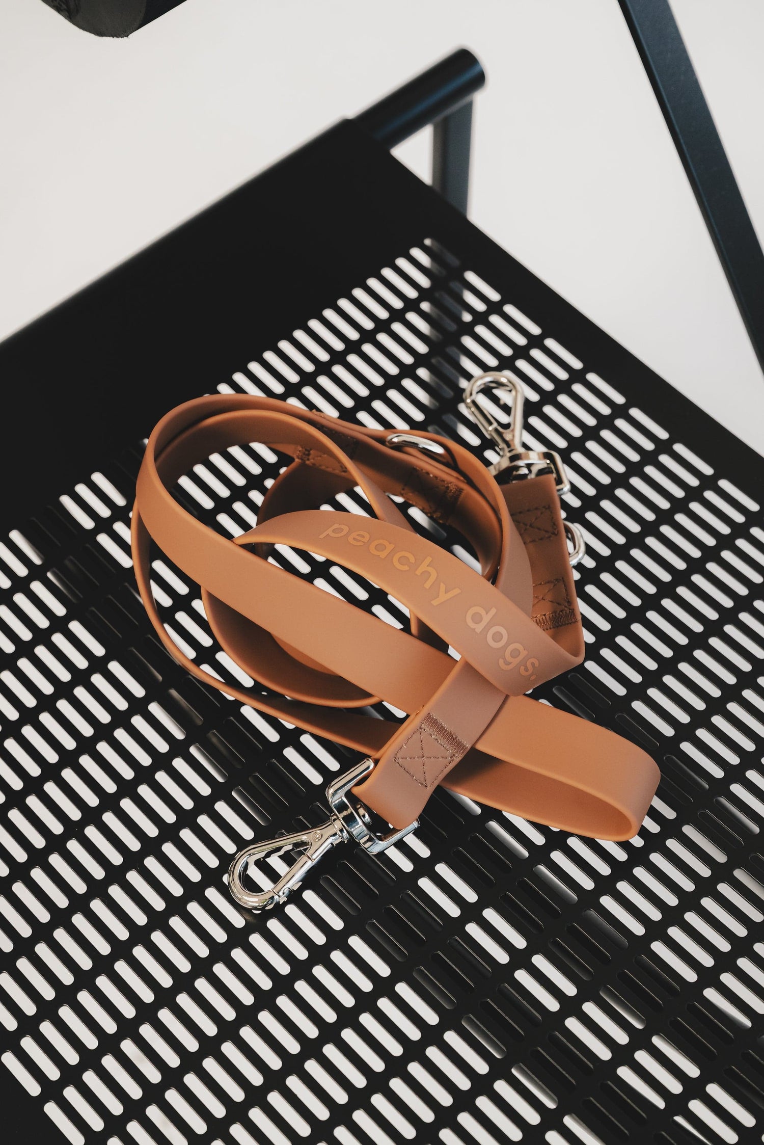 On-the-go Leash in Dulce