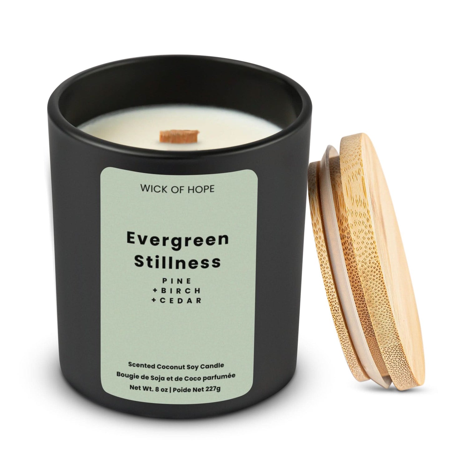 Evergreen Stillness Candle | Pine + Cedar