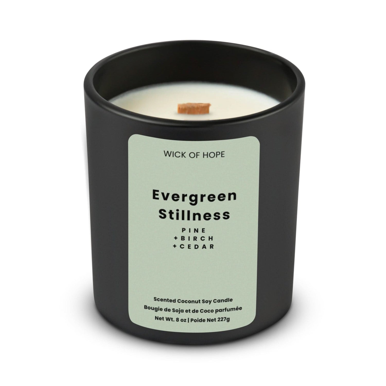 Evergreen Stillness Candle | Pine + Cedar