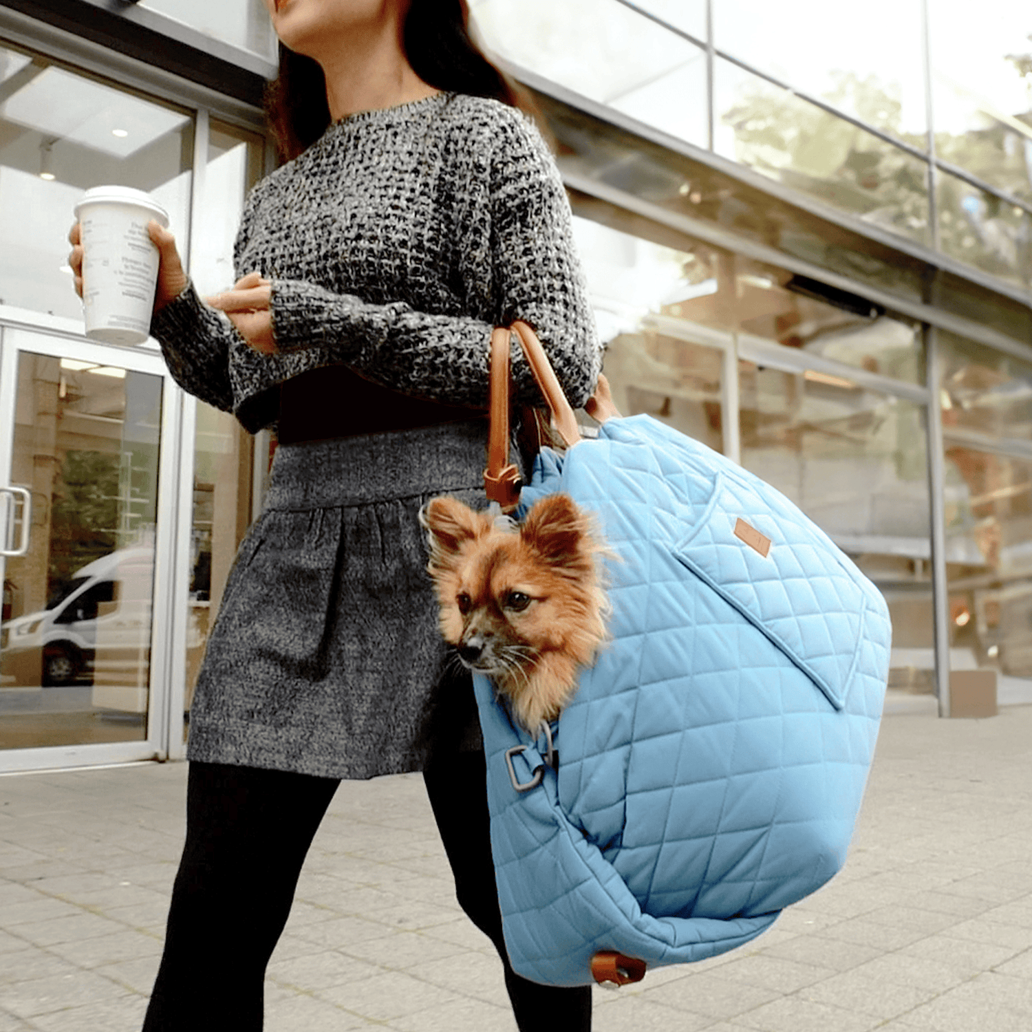 mew mew travel pet bed