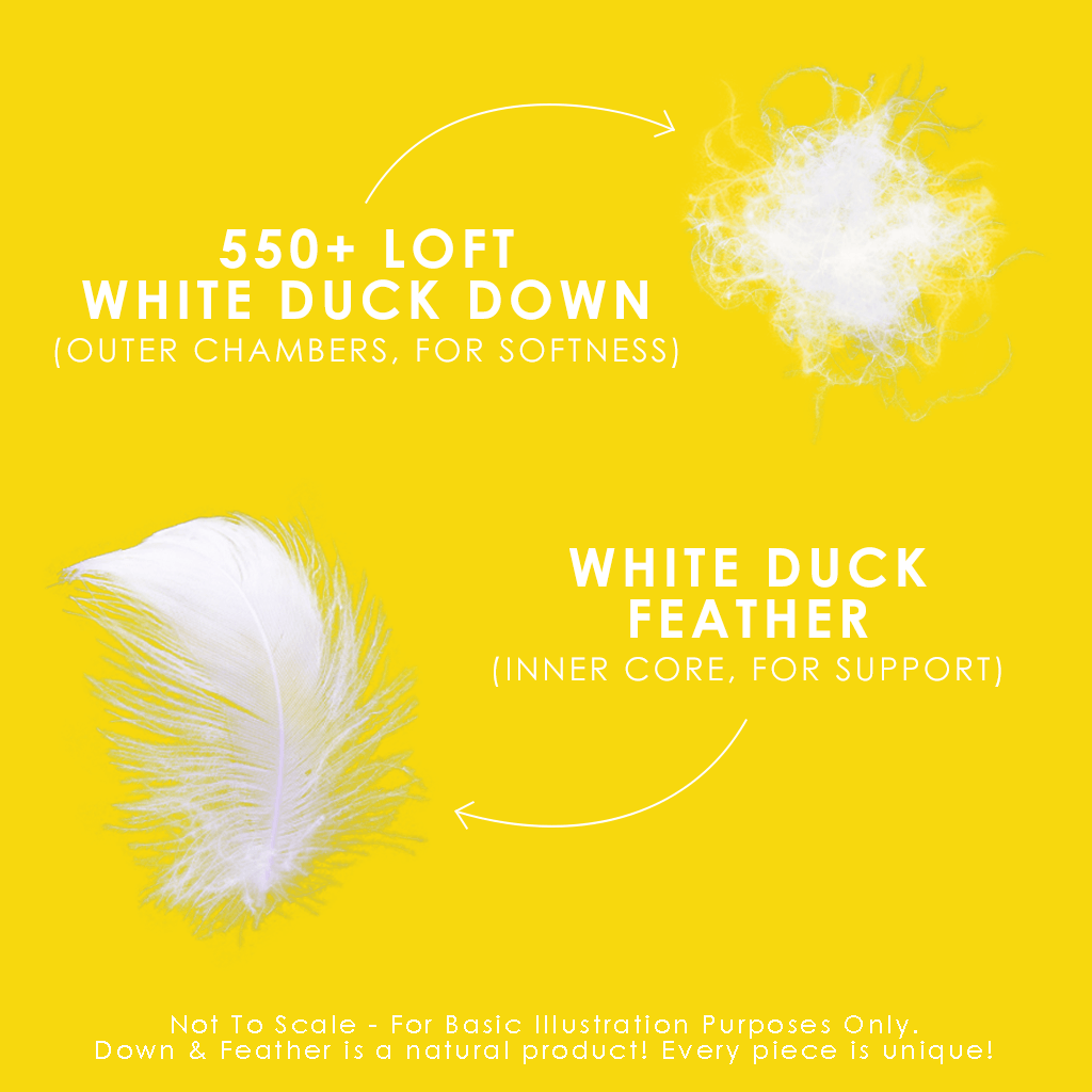 Down Perfect™ White Feather & Down Pillow