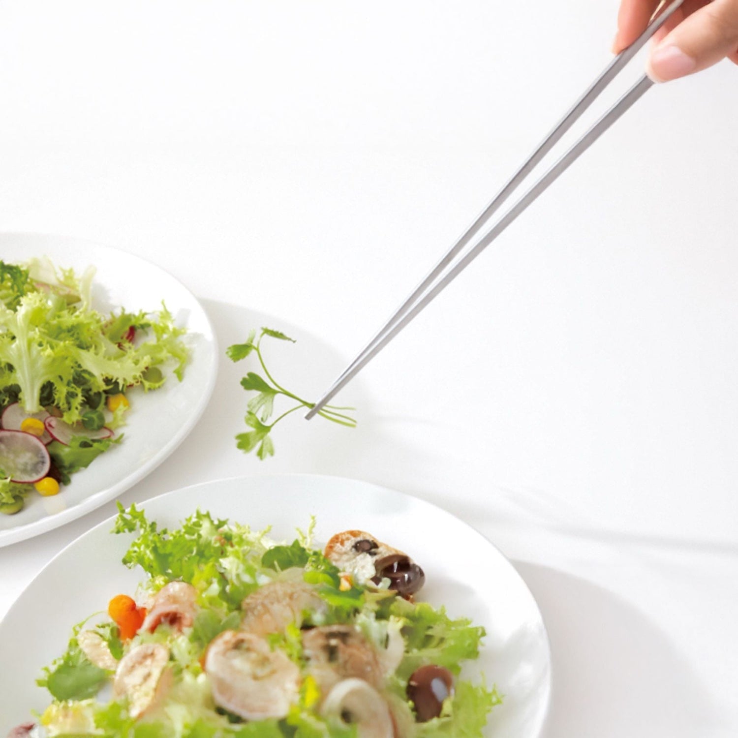 Eatoco Japan Saibashi Tongs – 250 mm Stainless-Steel Precision Tool