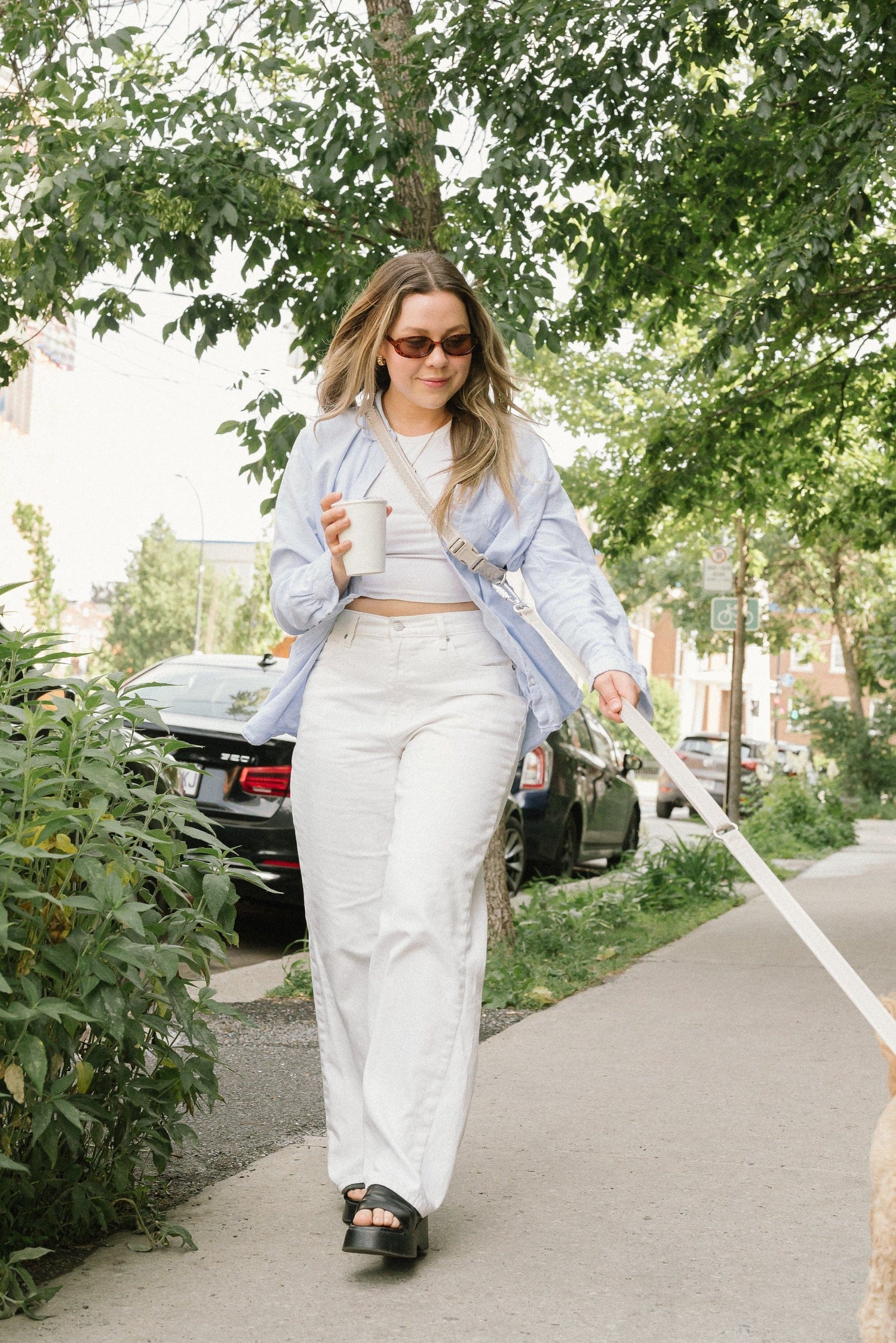 Daily Hands-Free Leash - Affogato