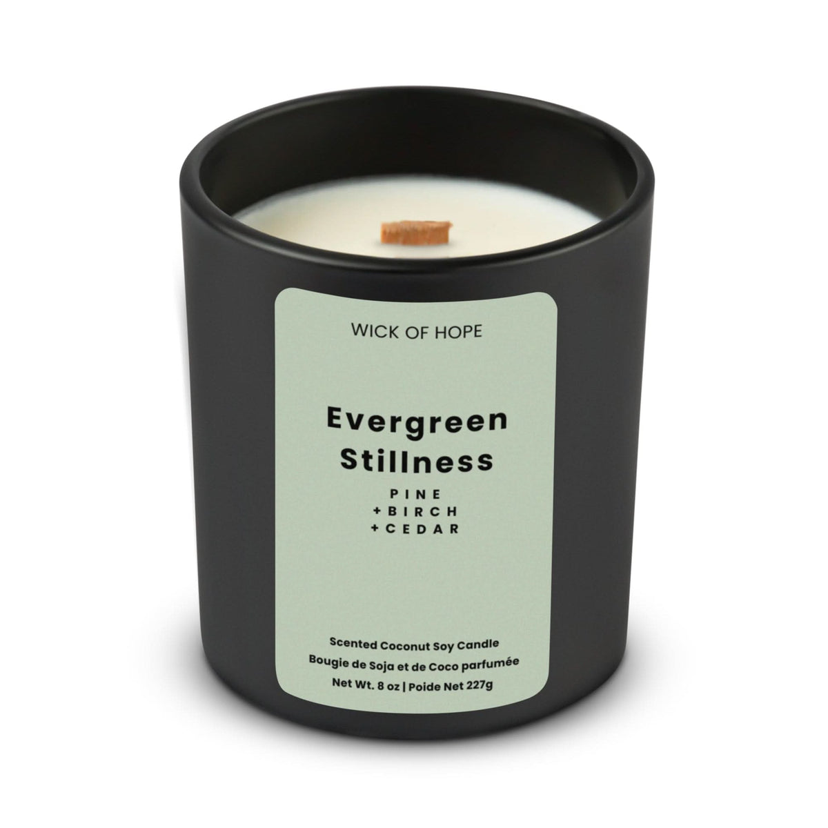 Evergreen Stillness Candle | Pine + Cedar in coconut soy wax, lifestyle view showing product details